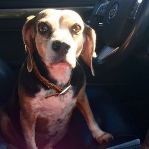 Meet your Posher, Ann